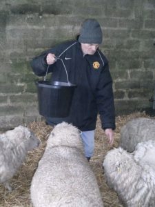 Regard service user, Ivan Keast, with Ryeland Sheep