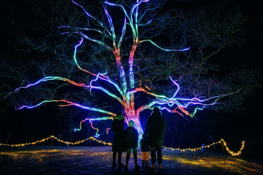 A family stands in front of a tree lit with multicoloured lights at Windsor Park.