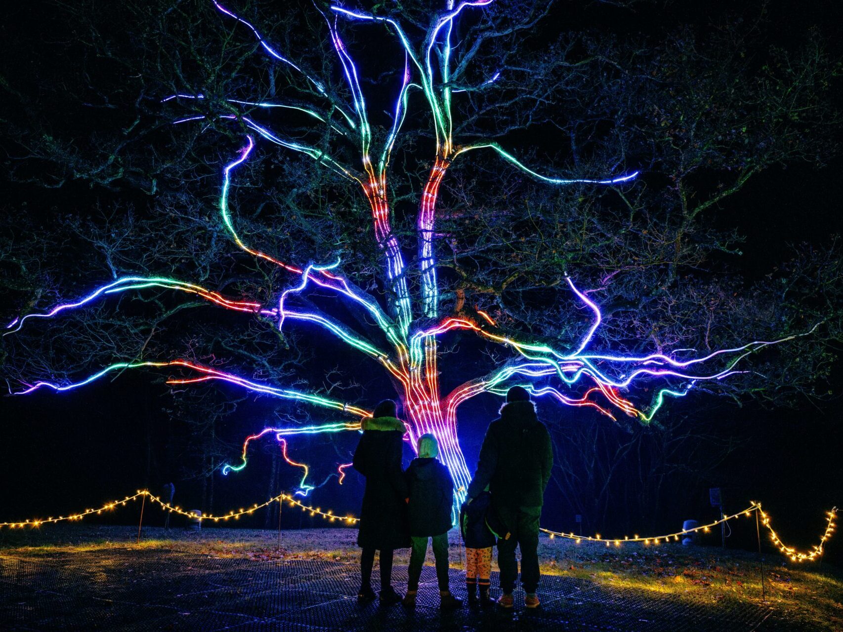 An image of a family at night time admiring a tree with colourful light rays running along its trunk and branches.