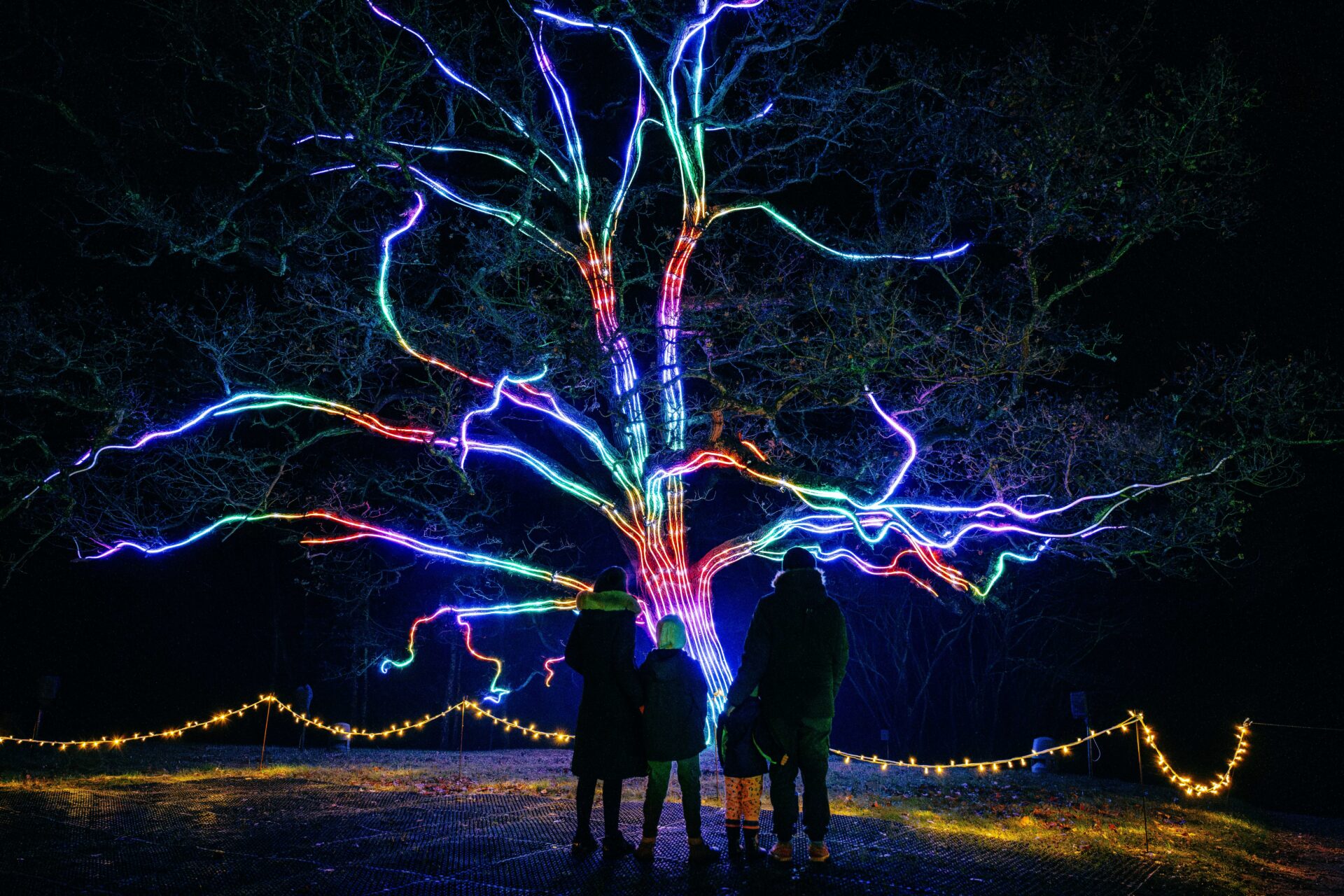 An image of a family at night time admiring a tree with colourful light rays running along its trunk and branches.